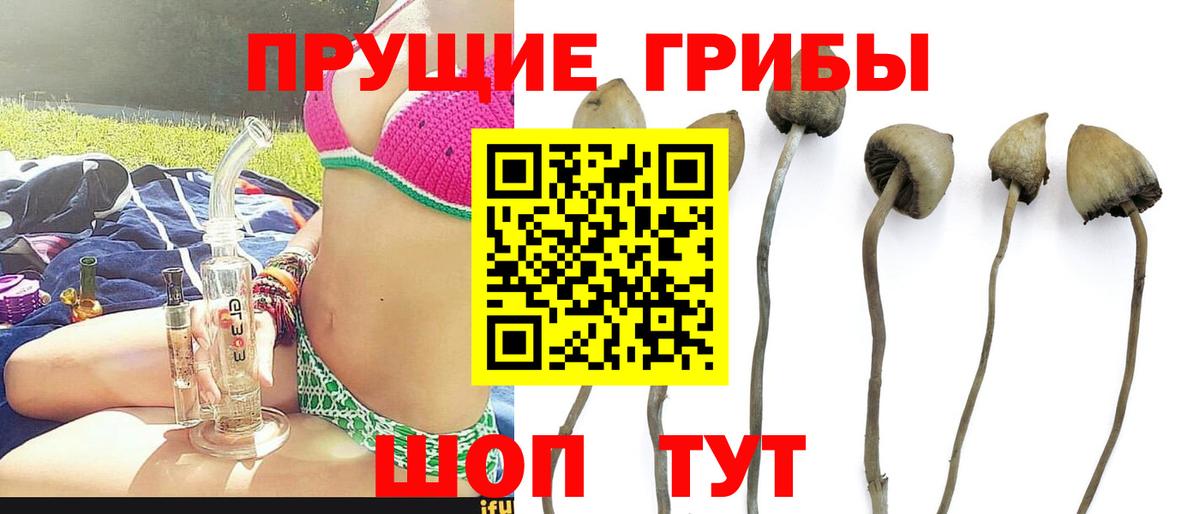 сколько стоит  Вход с VPN  Кирово-Чепецк  Галлюциногенные грибы мухоморы 