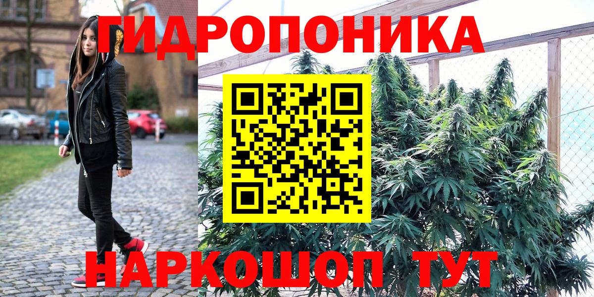 Шишки марихуана MAZAR  Вход с VPN  Шишки марихуана сатива  Кирово-Чепецк  Канабис план 